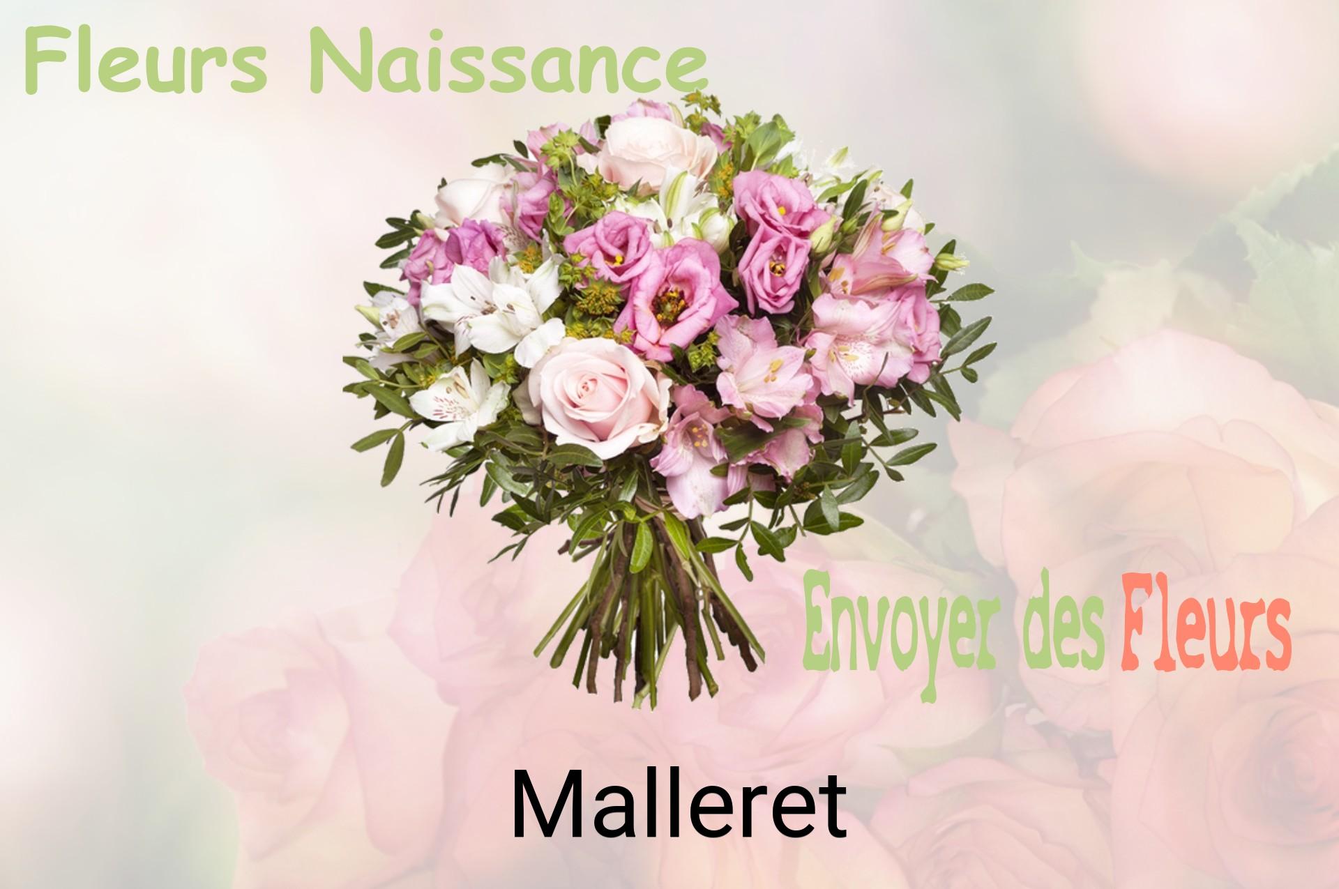 Bouquet de fleurs de naissance livré à Malleret